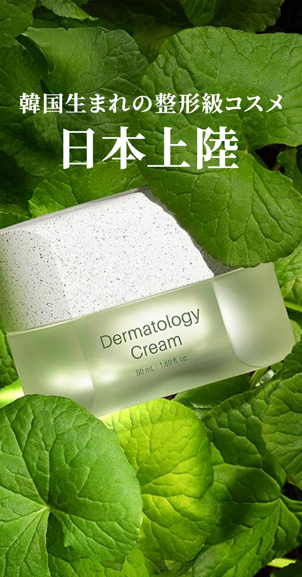 インセルダム正規販売店のサイトです